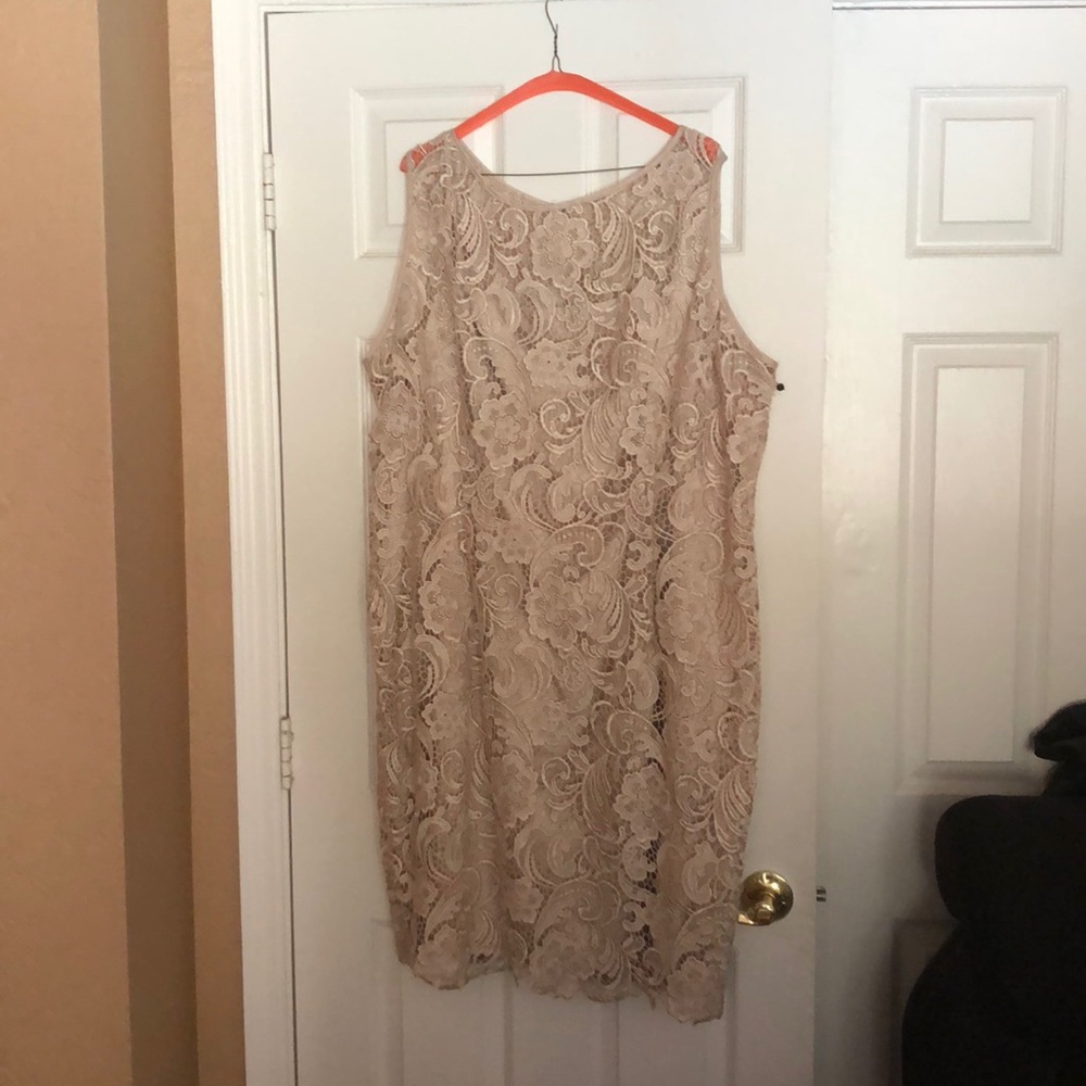 Adrianna Papell special day Dress